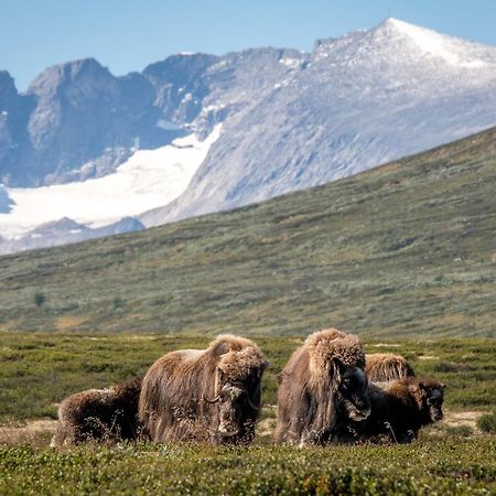 Furuhaugli Fjellhytter Valasjo Luaran gambar